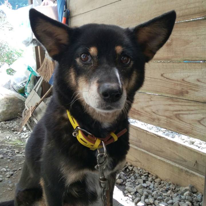 A0e256b4 3690 46fb b9f1 f5e32c38c340