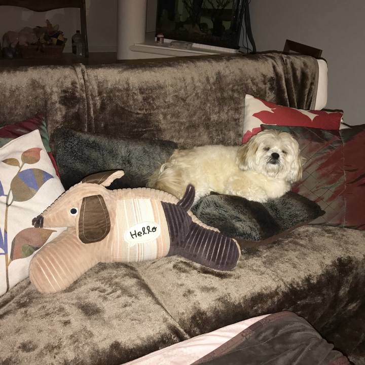 A0e286fc 99bb 40cb a457 ab88d1cb78b4