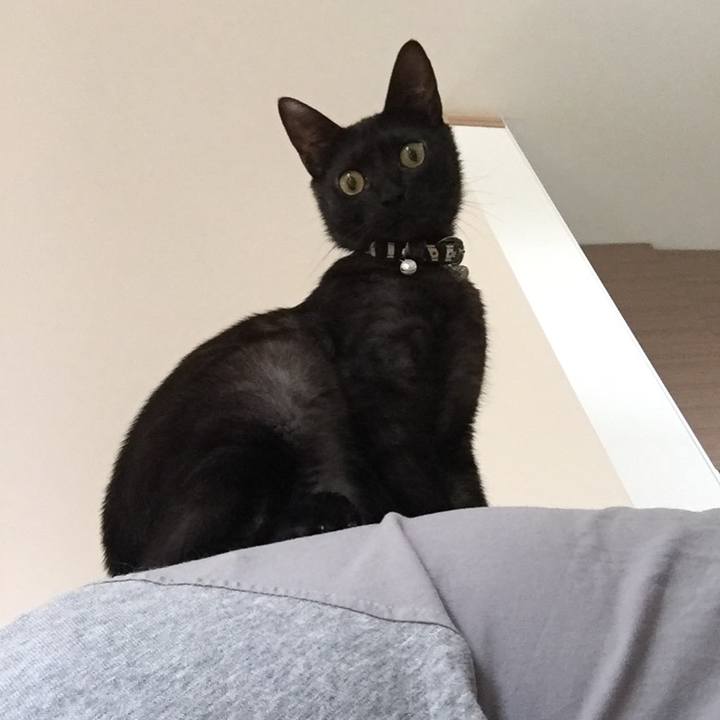 A0e2b976 0ff8 4df1 99e0 3fdcb9f9e069