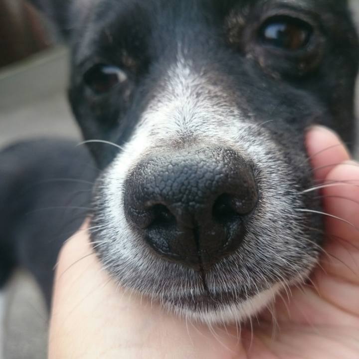 A0e30cd1 df2e 452e a864 2a76d66f3b0f