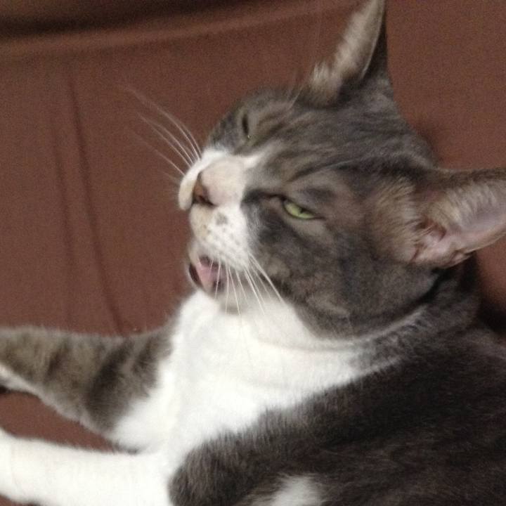 A0e3420b 4952 4a2e b4b9 b33dcd01223c