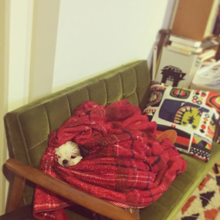 A0e368a4 a39e 4ac5 8c96 3a9a036cb573