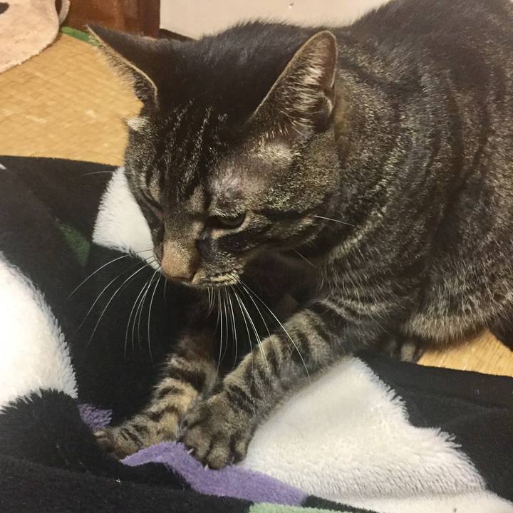 A0e39577 a4cf 4369 87e3 c660aff7a444