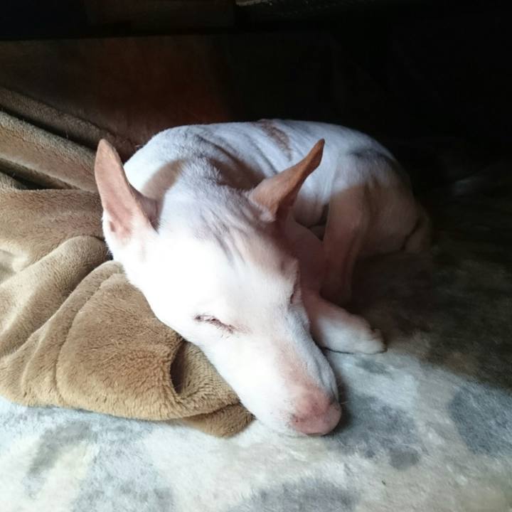 A0e3c715 5f96 41bf a88e ae2fa6a8353a