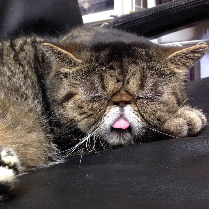 A0e48e6f 513d 486e 9c3f 3c7033582cfc