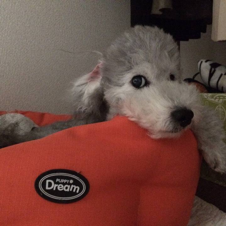 A0e50289 fdab 4a75 b632 a19b59ab88d4