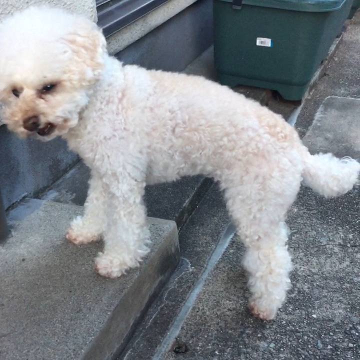 A0e56ec7 aefc 4f01 893a 9fe4dbb403e3