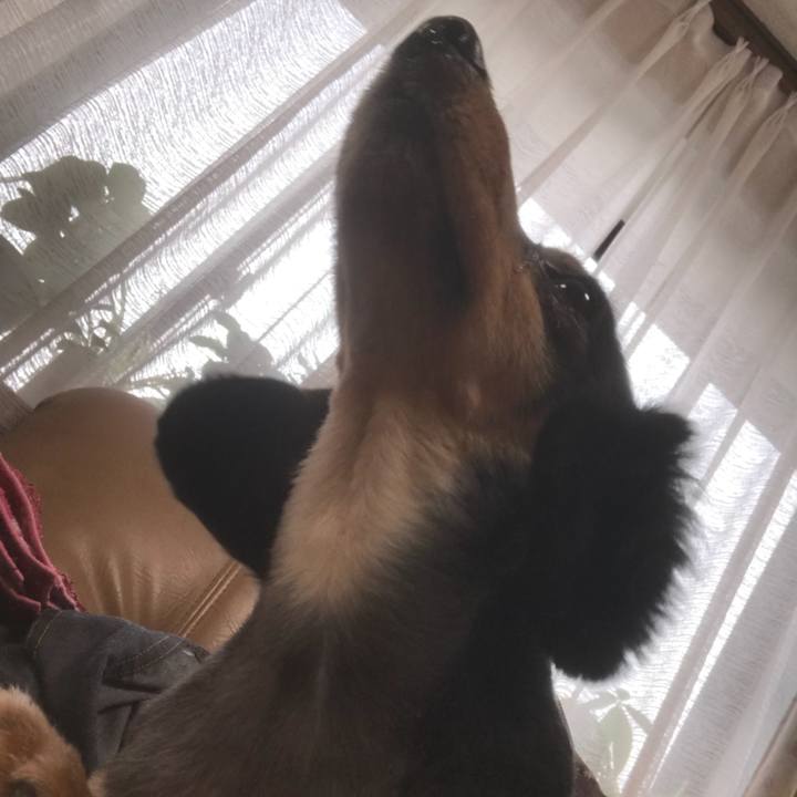 A0e58efc dfc2 49ce 8ce1 aee89d09584f