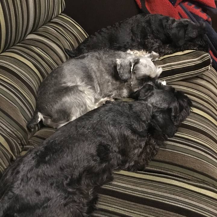 A0e591f9 93b6 48a1 b708 5dbe4a2aba3c