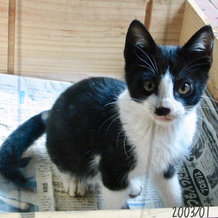 A0e74b13 64fb 41b9 9677 37f12b7f9136