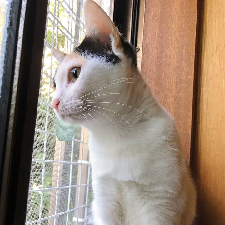 A0e7a98b 92ba 487d 9e99 60abe1b087dd