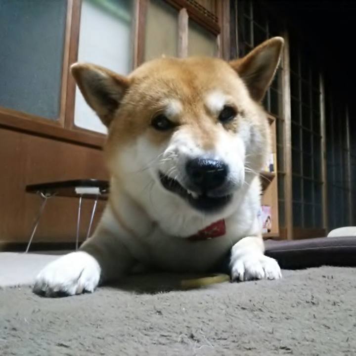 A0e7f084 cd38 4efe bb68 ef5b123b8e5f