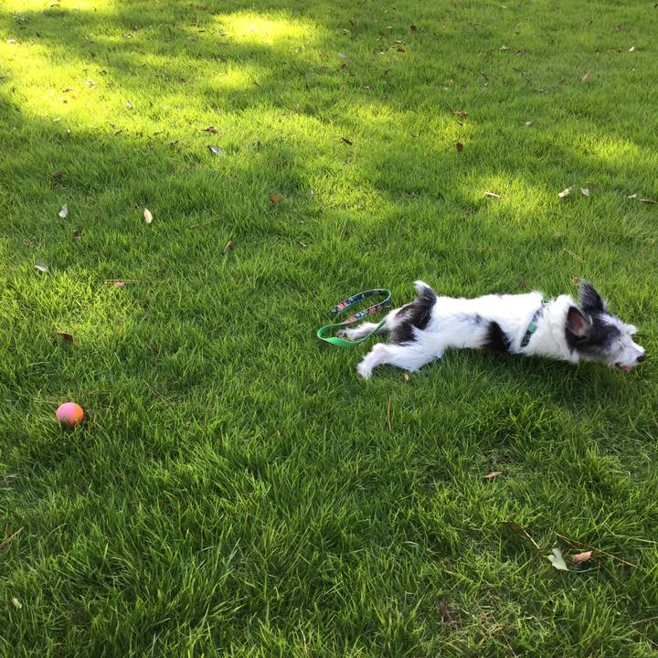 A0e84817 38d6 4e7e 86a8 35f9c913be70