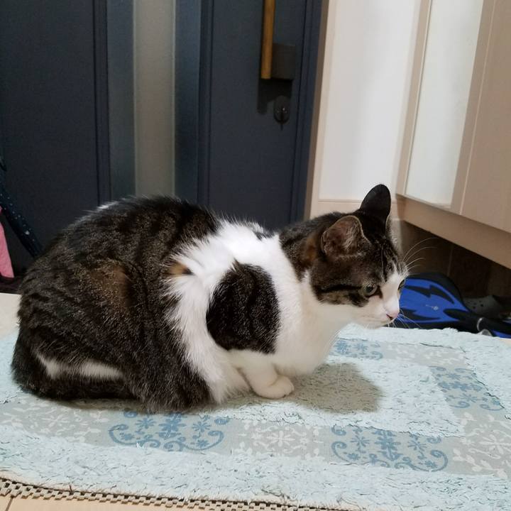 A0e86e2c 3d79 4cbe 8923 c1be864590cc