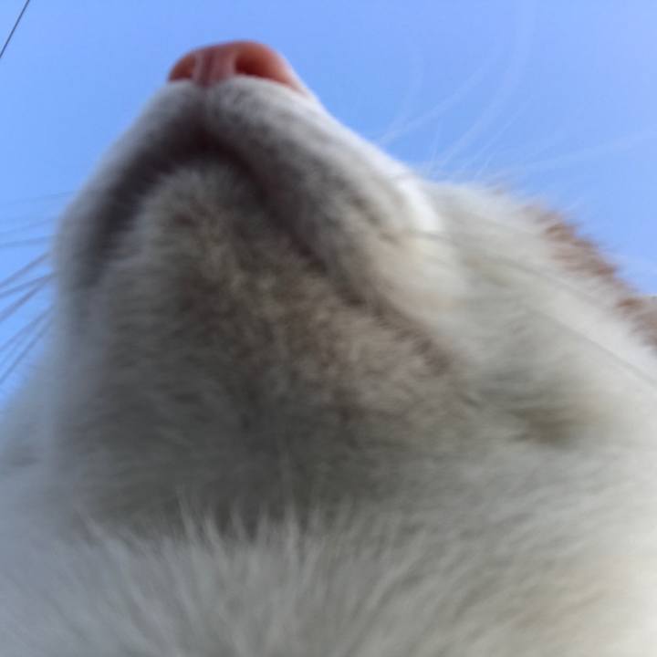 A0e89ed6 cfaf 4c7a b5f3 96f156791024