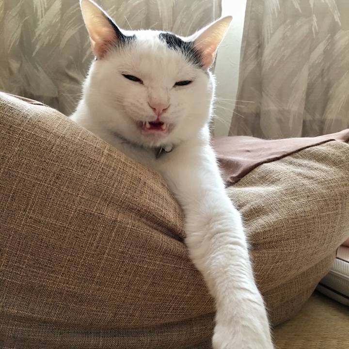 A0e8db53 6c87 4d28 be2c 159330a9afc9