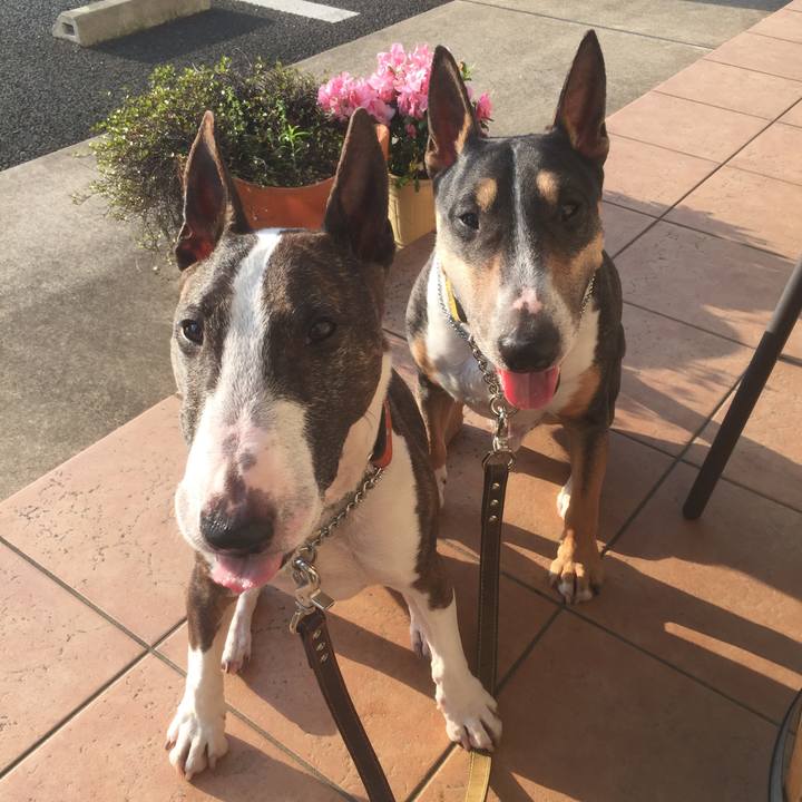 A0e8e06f 2229 4635 880e 21e9eeecc191