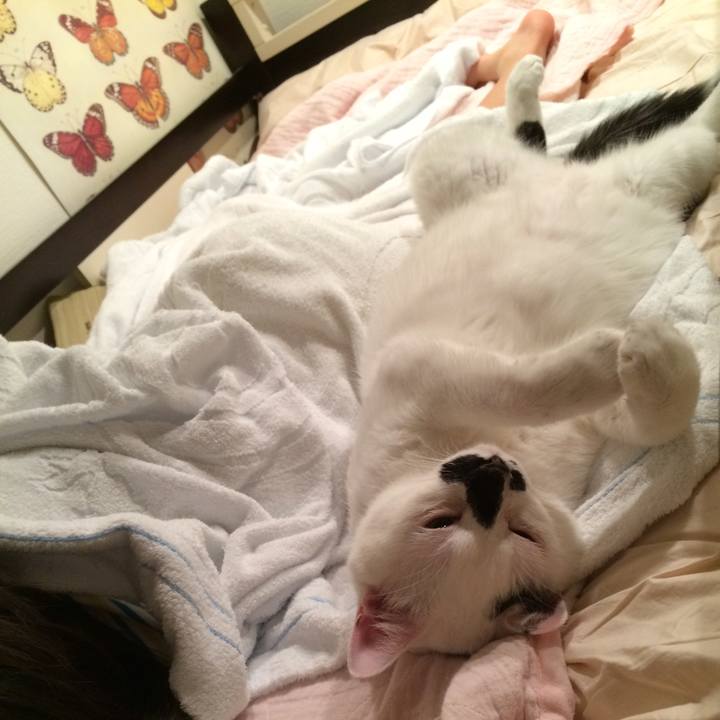 A0e9186b 38ef 446e 86aa 2df9b2bd2d65