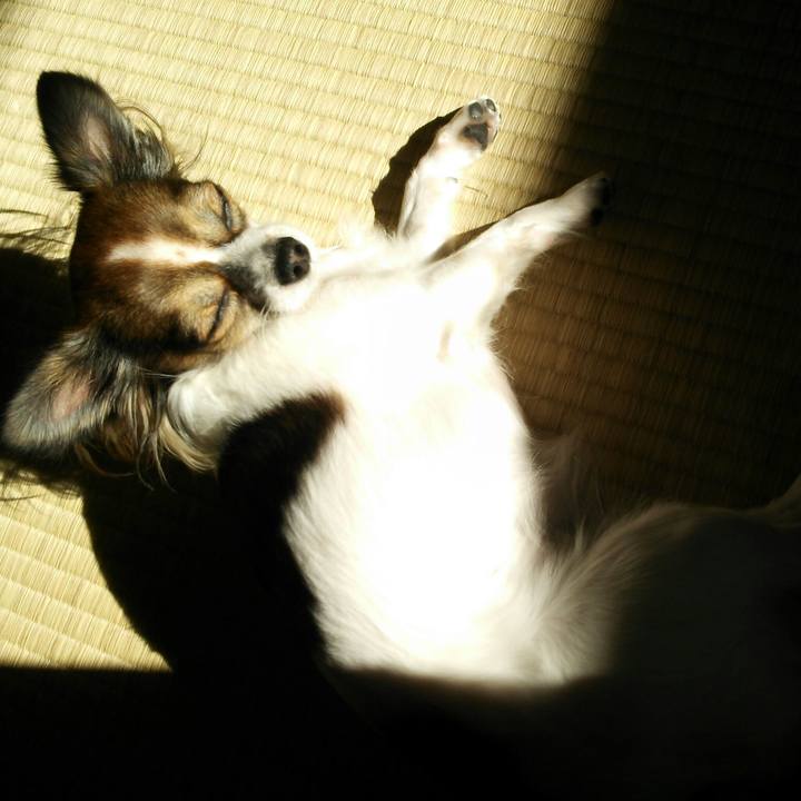 A0e92680 ce89 4b9f bc0b 58102175ab8b