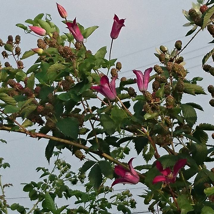 A0e96241 e738 4fed 8b03 4ee3cc4158fc