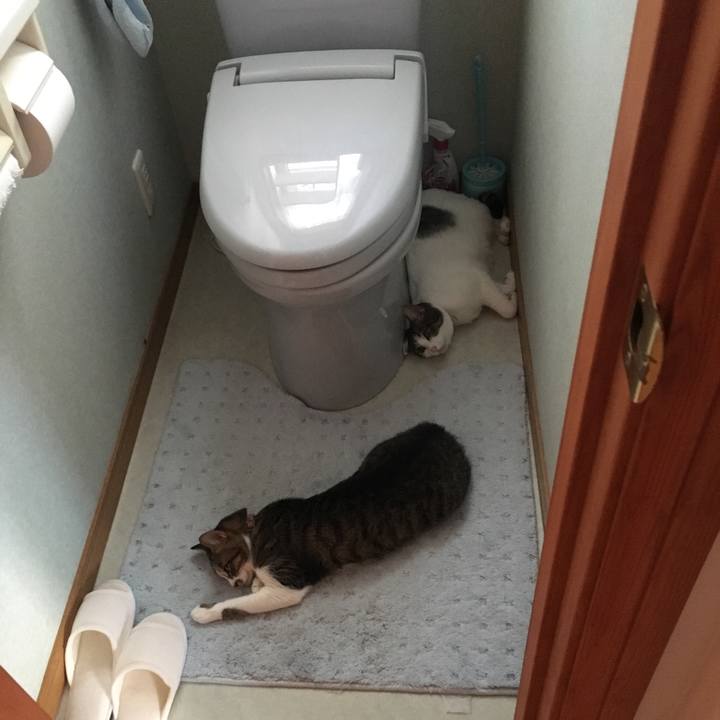 A0e99c7a 92da 484b a3a9 69b9afe6a147