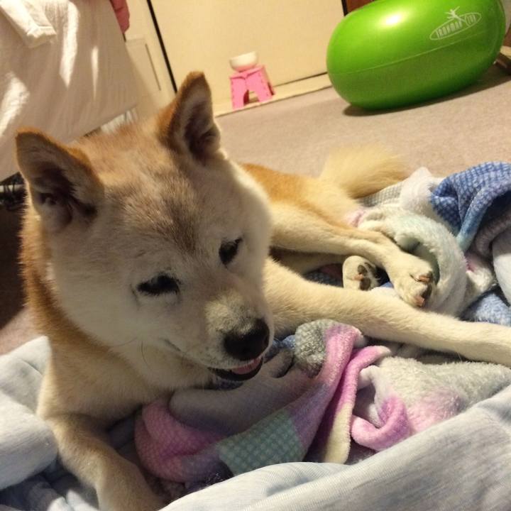 A0eada3b 7b93 4fa9 9648 5d88b9e75312