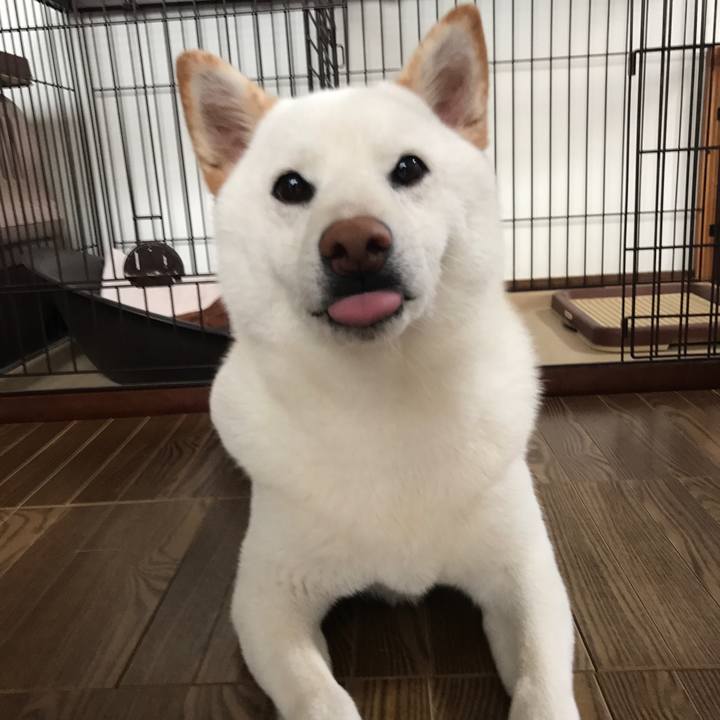 A0eb554a d73f 4d17 920e e78d5d86f2b1