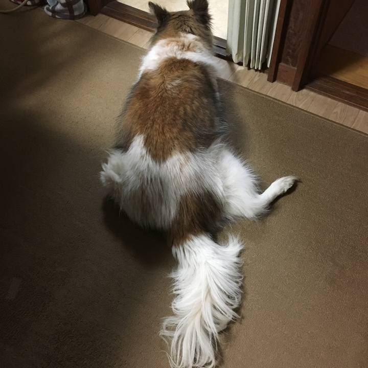 A0eb7586 dcca 4dbf b2ee a872d9f044f7