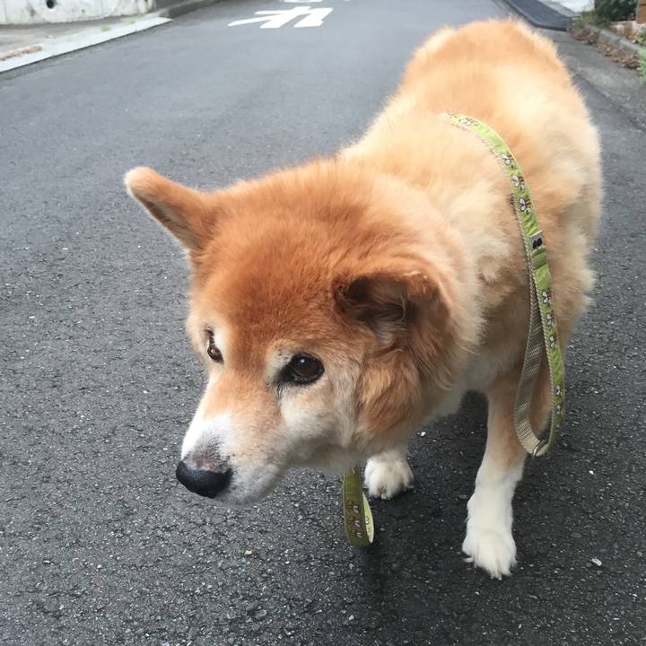 A0ec32f6 2b3a 462a 8fd4 2cc4de6daece