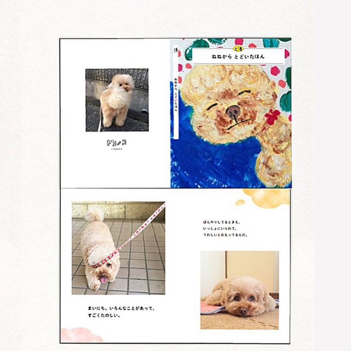 A0ed6f40 160e 463a 97db cd6a6347830a