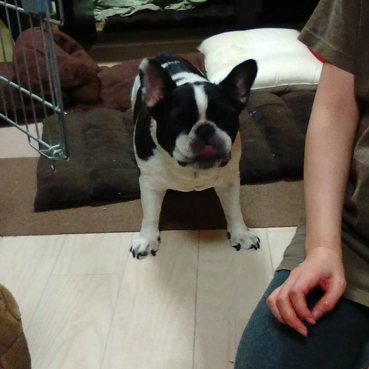 A0ed7ecf 0b90 463c a84c 9d11b4bebddd