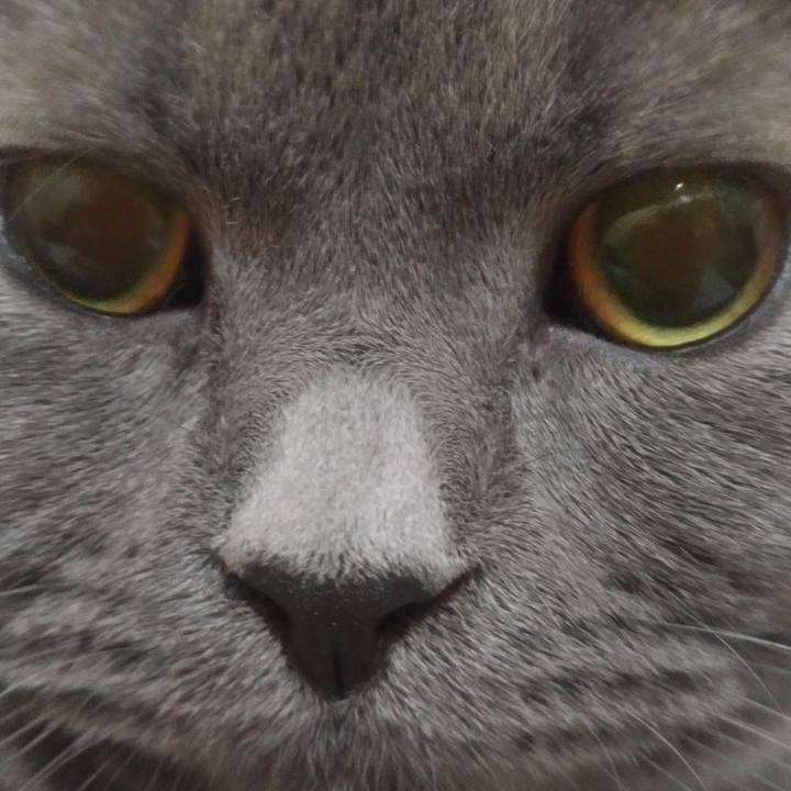 A0edd28c 995d 45e8 94e2 6b92d710807b