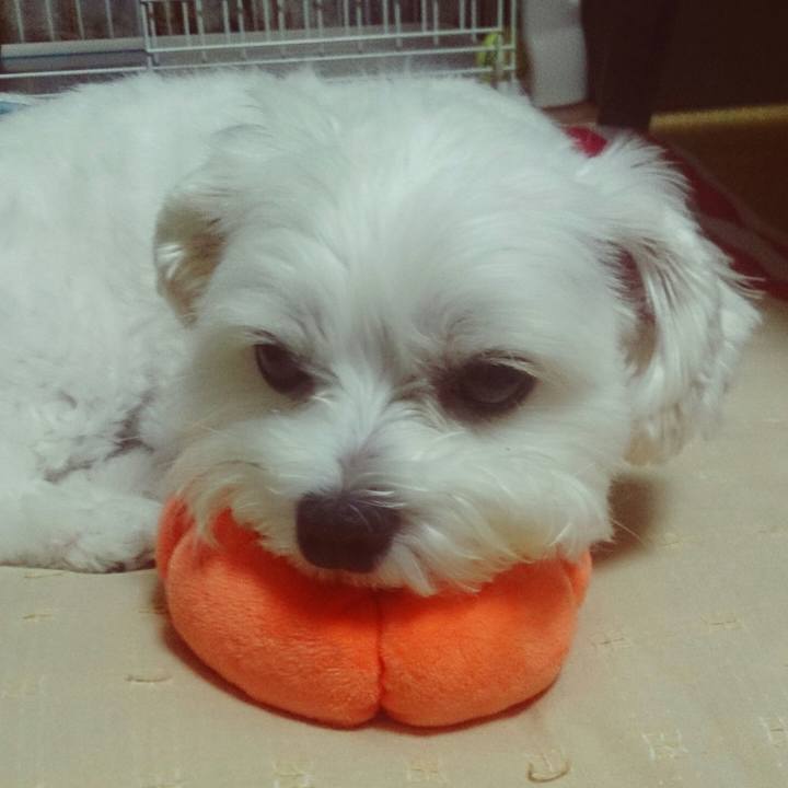 A0ee204b b74b 4aa5 b6a8 b5aa47a02aa2