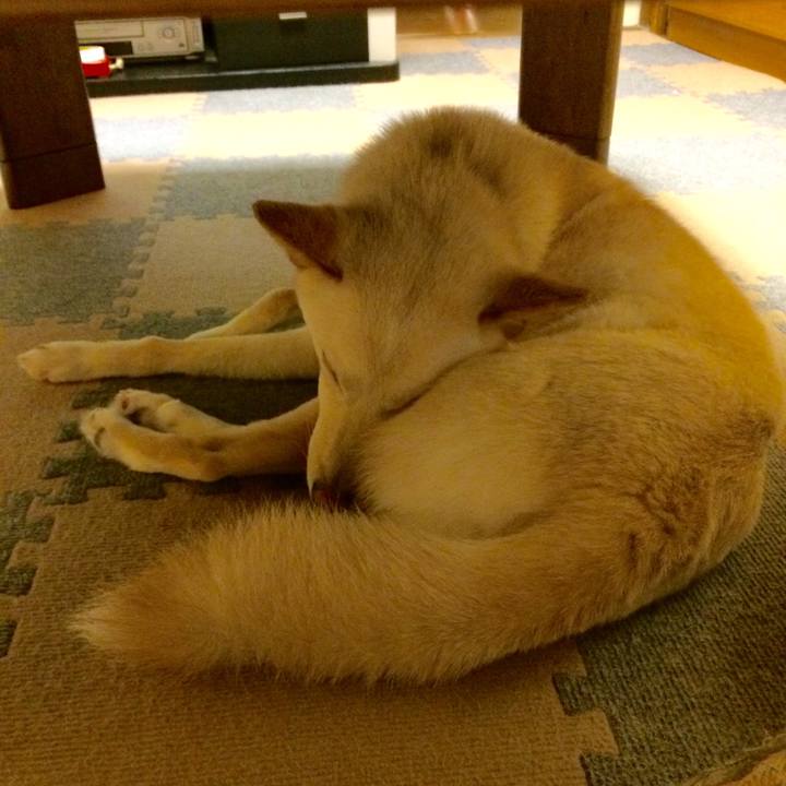 A0ee4a62 fd71 4d0e 8aec df8bbff29a82