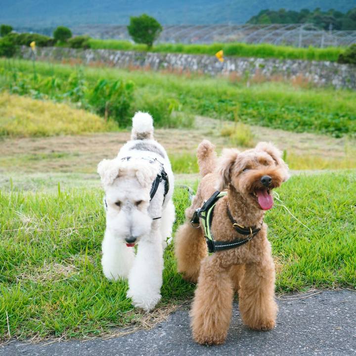 A0ee7135 e00d 4c13 aa80 74b206752860