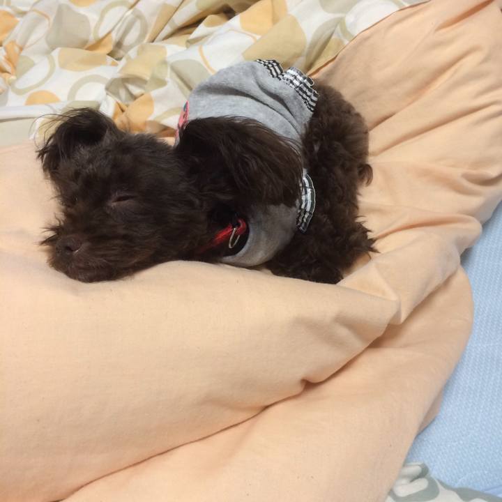 A0ee96b7 4b1e 47dd a450 4ad85b6a4895