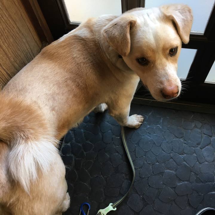 A0eea884 8a4e 4ce5 aed3 15328d09897c