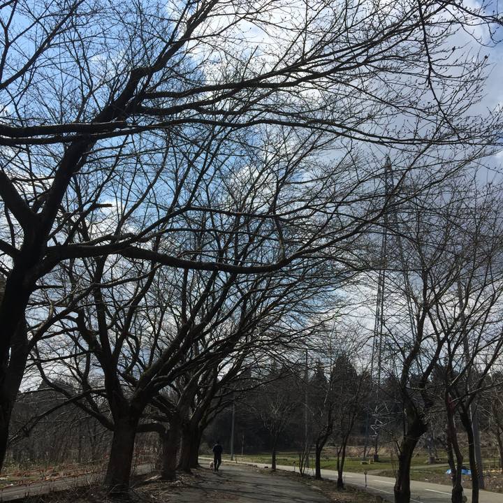 A0eeac97 4064 47da 97ce c64368c04f3f