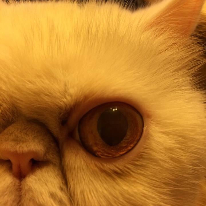 A0eecc7f 97ae 4a1e 8247 582c59a973a0