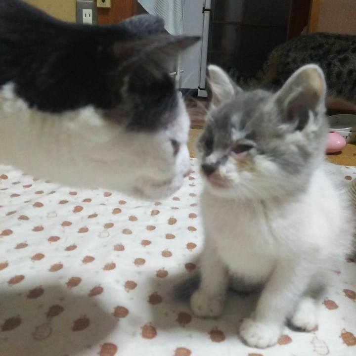 A0eee3cd b54d 4156 9980 a801a964d43b