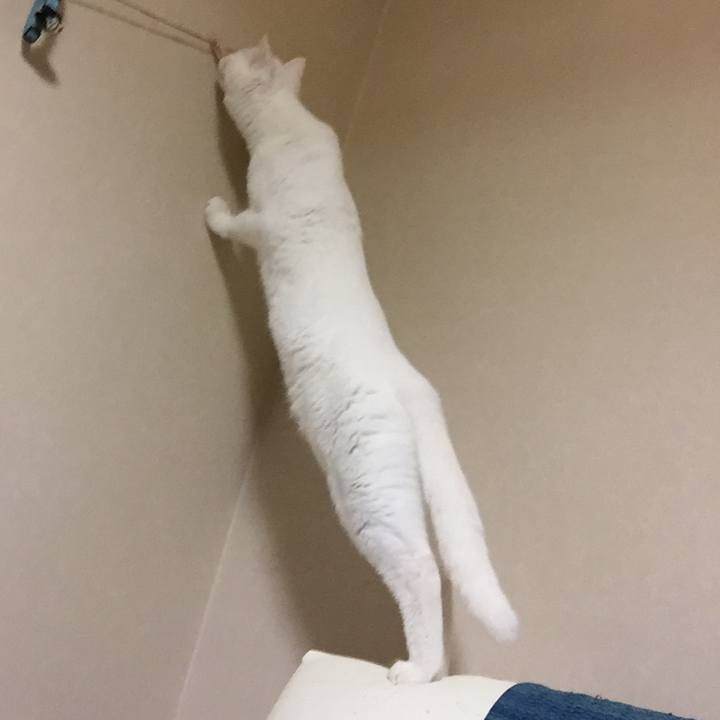 A0ef42bc 4f76 416f be9c 5d337a87cc15