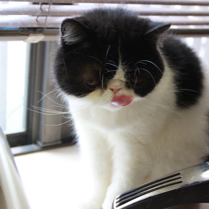 A0efcf82 b56c 4161 bac1 3d5856053966