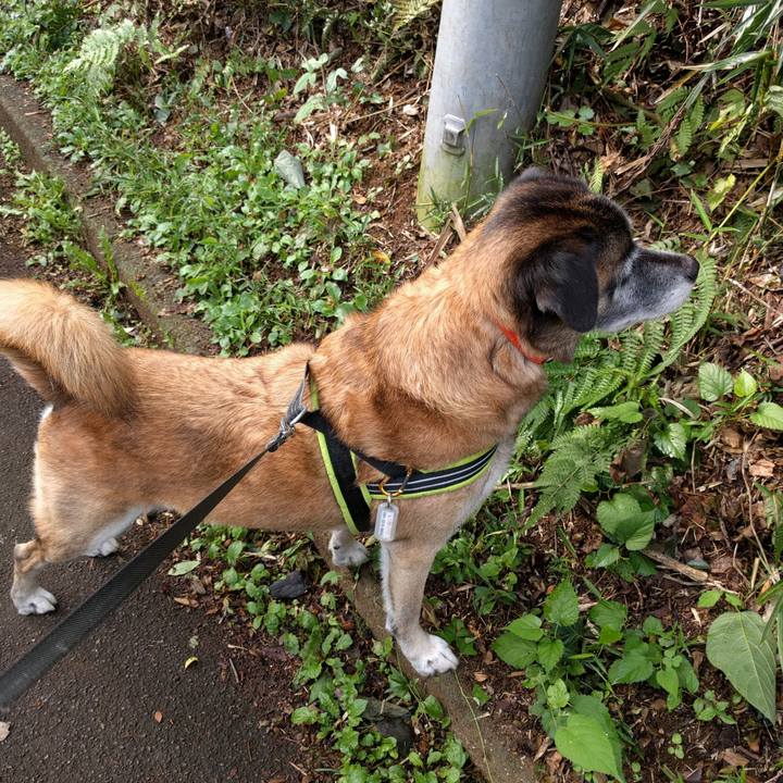 A0f03e87 0995 4e33 9881 ffe7ab67c43a