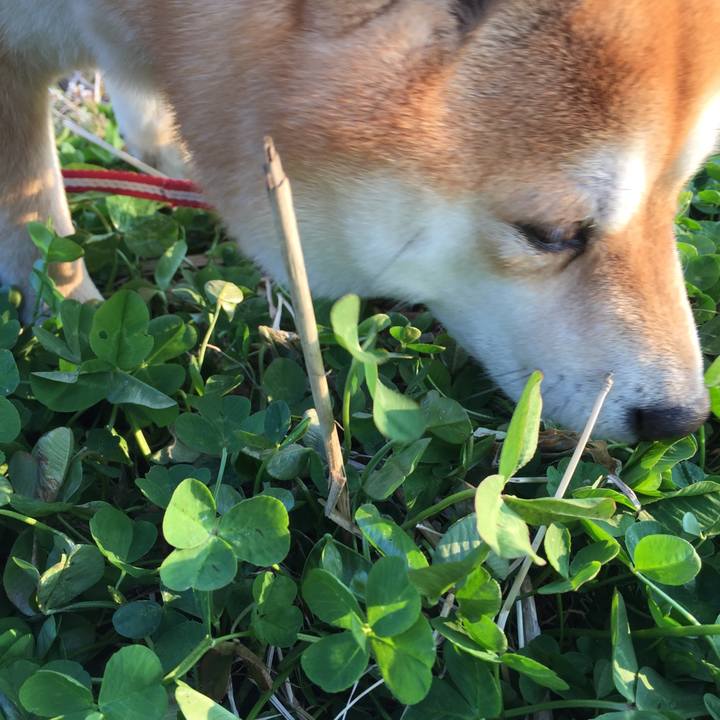 A0f18040 3bc2 4daf a1da 53e3bed5b60c