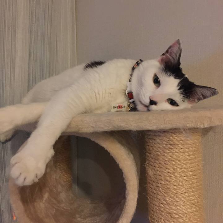 A0f19c7e 44be 4089 b8e0 fc74b7b817cf