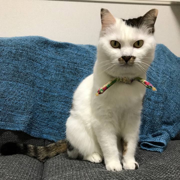 A0f25f24 e1bd 4fd8 a557 70cb3ed11e95