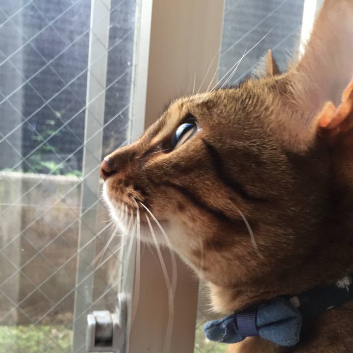 A0f26ca7 3cc6 4729 aac6 aae282065589