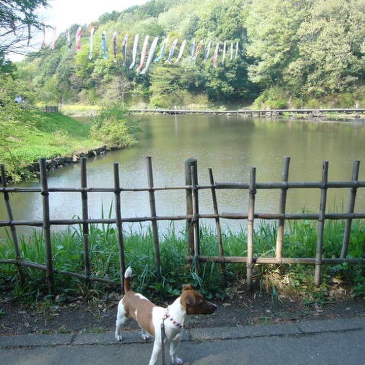 A0f2bcd4 44cc 4b16 8717 88c88fd3e063