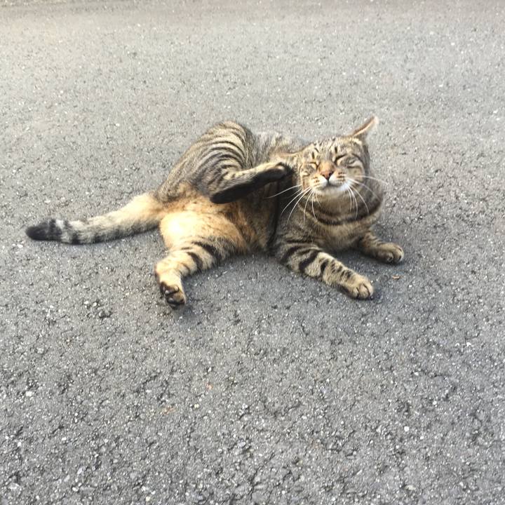 A0f2fc00 d3ca 4d63 9268 898792743fee