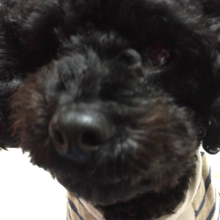 A0f34c3d 3796 46ea 94d4 af1b1fde9d4a